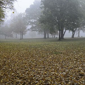 Volkspark 1 DSC3558