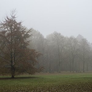 Volkspark 2  DSC3560