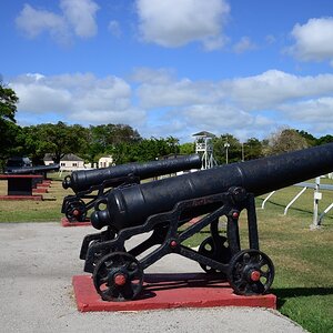 DSC 2156 Kopie