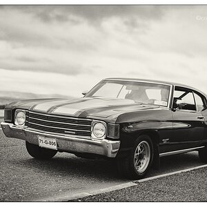 71 Chevelle bw
