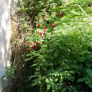 Wasserburg Hainchen