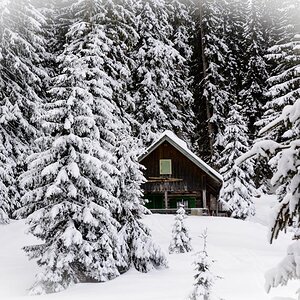 Waldheimat