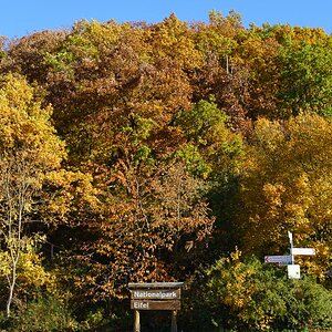 20151029 DSC02940