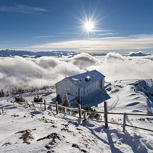 IMG7393 01