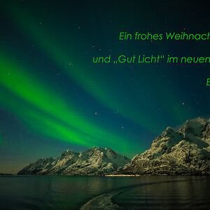 Weihnachtsgruß in grün