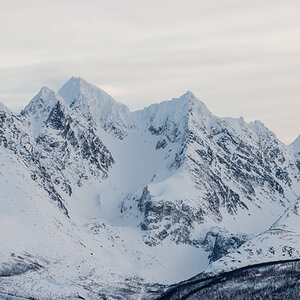 2016 Tromsø 115