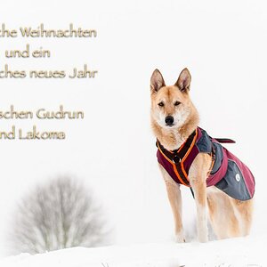 xmas arbeit
