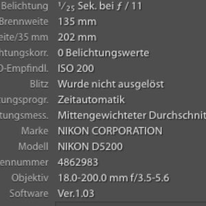 Exif Bild 1 1200x887