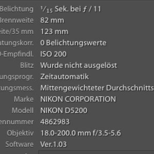 Exif Bild 2 1200x883