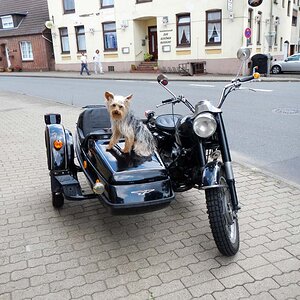 Guzzi1aff