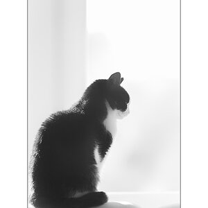 DeborahPZ1 1407