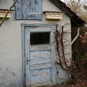 Spatzen-Reihenhaus