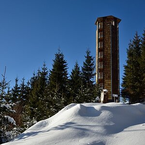 DSC 2361