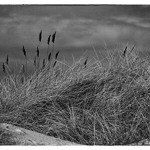 Silver Efex Pro 2