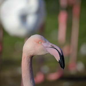 2015 12 28 13 34 02 D8E 2873 1000 1