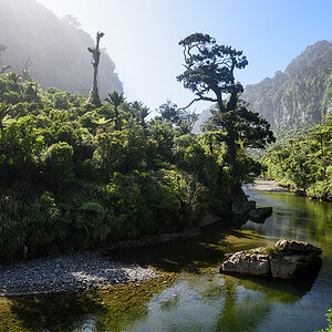 Regenwald Tal bei Punakaiki klein