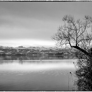 Blick auf den See