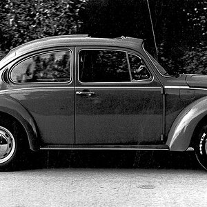 VW Kleber (1 von 1)