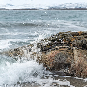 2016 Tromsø 133