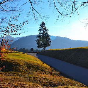 DSC 5123 Hochgrat
