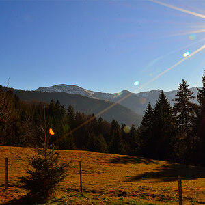 DSC 5071 Sonne