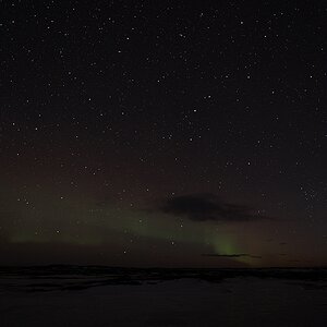 bei Dyrfjöll
Das Nordlicht war nur knapp über dem Horizont und sehr schwach
 5606  1