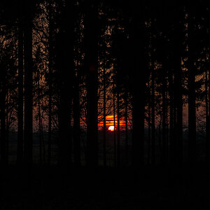 Sundown P3120096