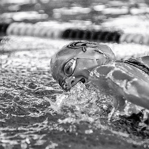 Schwimmen 4