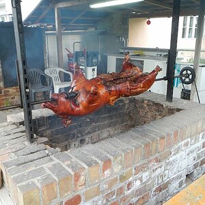 spanferkel auf ruegen