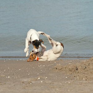 Strand Prora