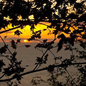 Sonnenaufgang Koenigsstuhl