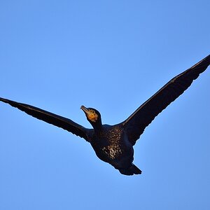 2016 00331