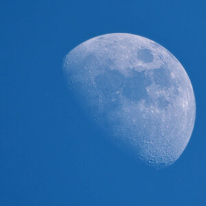 DSC 0805 Mond