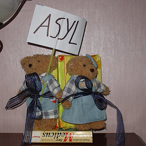 Teddys