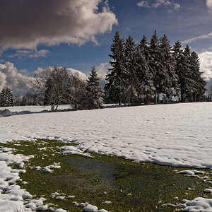 Winter 3141