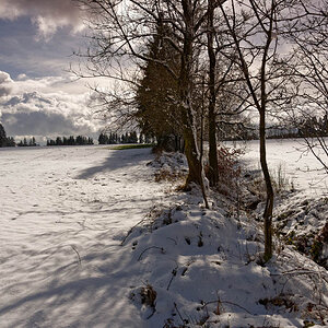 Winter 3143