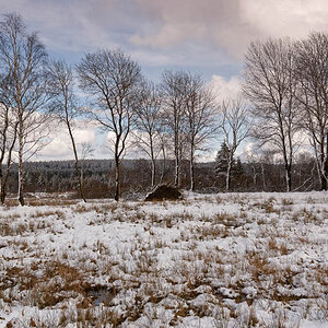 Winter 3161