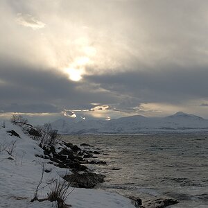 s551 Telegrafenbukta 8340  1
