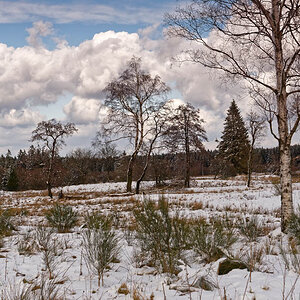 Winter 3162
