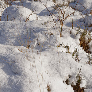 Winter 3180
