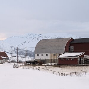 s565 Farm 8449  1