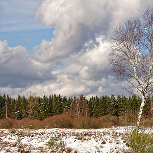 Winter 3186