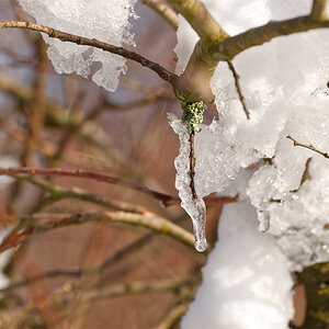 Winter 3191