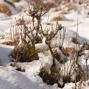 Winter 3194