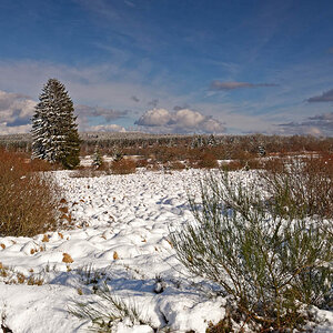 Winter 3214