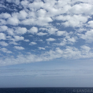 54 IMG 9506