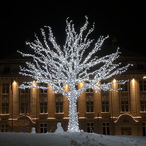 s092 Tromsö beleuchteter Baum am Roald Amundsen Plass im Hintergrund das Kunstmuseum
 7341  1