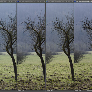 Baum mal 4