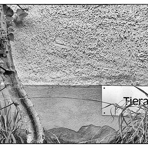 TierDSC 2690