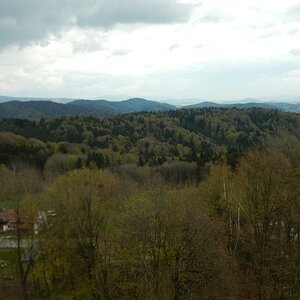 DSCN0381 1